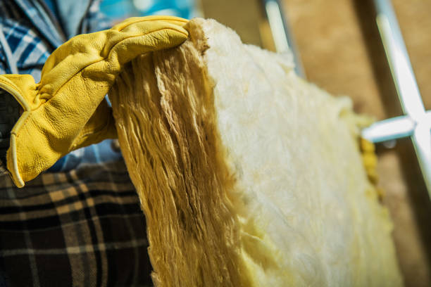 Insulation Inspection Services in Sierra Vista, AZ
